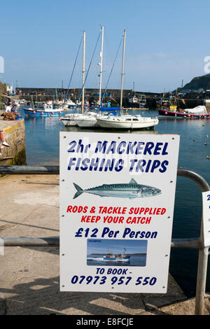 Sign advertising / offering / promoting fishing trips to tourists who wish to catch Cornish mackerel in the sea off Mevagissey, Cornwall UK. (71) Stock Photo