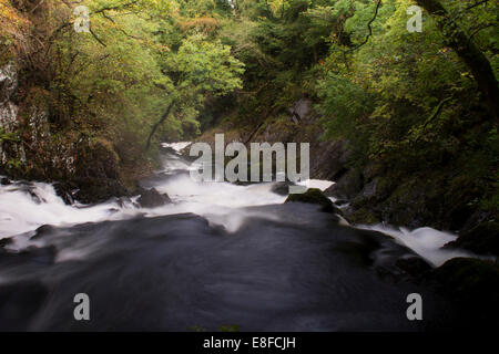Swallow Falls, near Betws-y-Coed, Snowdonia National Park, North Wales Stock Photo