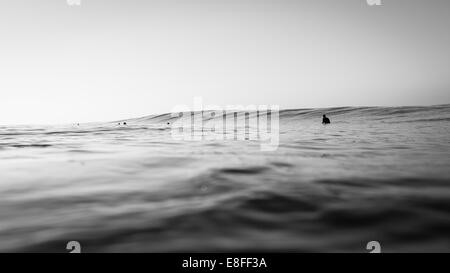 Group of surfers waiting to catch a wave Stock Photo