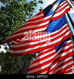 Row of American flags Stock Photo