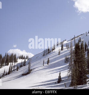 Snowy hillside Stock Photo