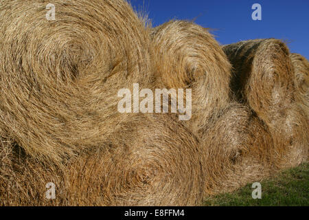 Stack of Round hay bales, United States Stock Photo