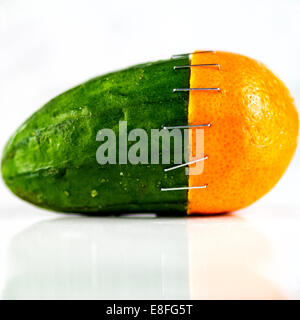 Orange and cucumber stapled together Stock Photo
