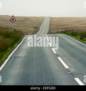 Straight road and a sheep animal crossing sign Stock Photo