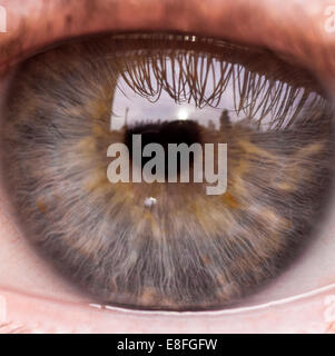 Close up of human eye Stock Photo
