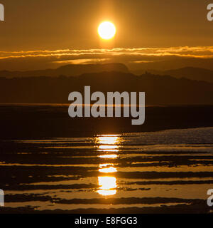 Landscape with sun reflected in puddles Stock Photo