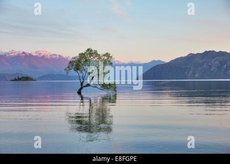 New Zealand, Otago, View of Lake Wanaka Stock Photo