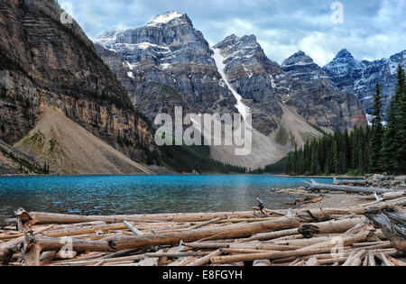 Log pile at Moraine Lake, Banff National Park, Alberta, Canada Stock Photo