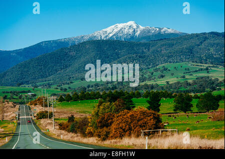 Australia, Victoria, Shire of Mansfield, Mt Bulle village, Snowcapped Mt Buller Stock Photo