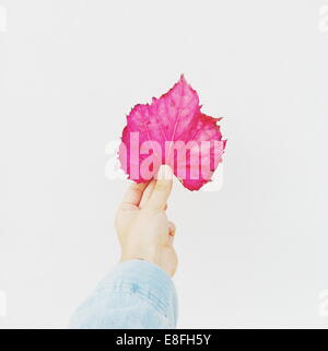 Woman's hand holding a pink leaf Stock Photo