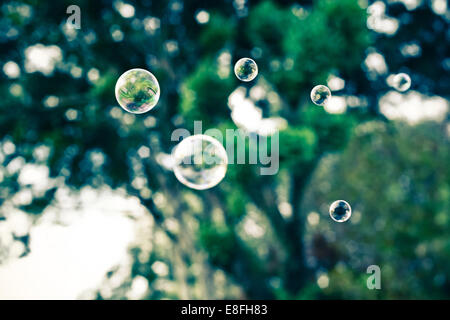 Soap bubbles floating mid air with trees in background Stock Photo