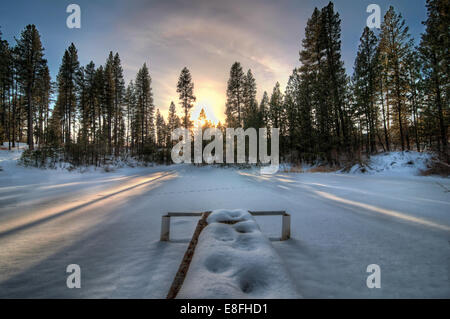 USA, Idaho, Sunset in winter forest Stock Photo