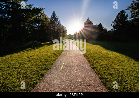 USA, Idaho, Boise, Albersons Park,  Bright Path Leading Forward Stock Photo