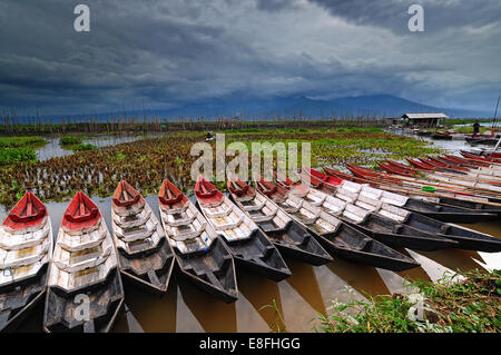 Indonesia, Central Java, Semarang, Wooden kayaks in row Stock Photo