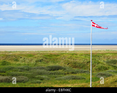 Beach with Danish flag, Fanoe, Jutland, Denmark Stock Photo