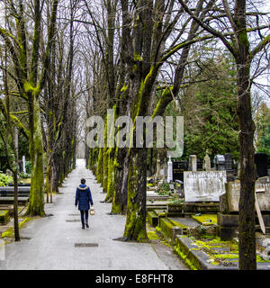 Rear view of woman walking through cemetery Stock Photo