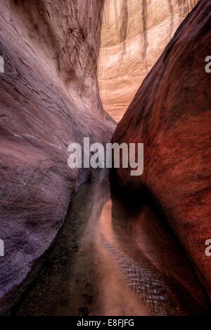 USA, Utah, Glen Canyon National Recreation Area, View of Willow Gulch Narrows Stock Photo