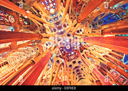 Spain, Barcelona, Sagrada Familia, Ceiling