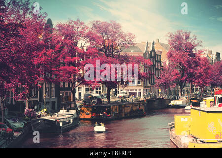 Holland, Amsterdam, Houseboats on canal Stock Photo