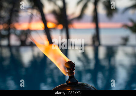 West Indies, Bahamas Fire And Palm Trees Stock Photo