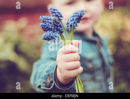 Portrait of a Boy holding grape hyacinth flowers, England, UK Stock Photo