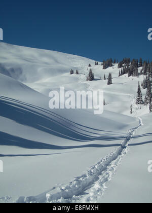 Fresh tracks in snow Stock Photo