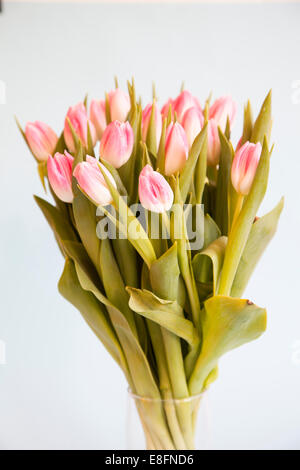 Close-up of a bouquet of Pink Tulips in a glass vase Stock Photo
