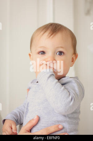 Netherlands, Portrait of baby boy Stock Photo