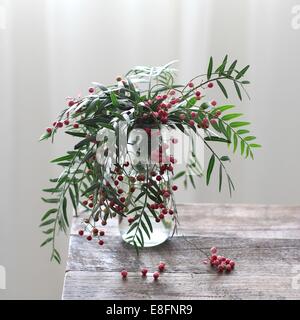 Green plant with red berries in vase on wooden table Stock Photo