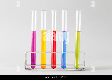 Test Tubes with multi coloured liquid in rack Stock Photo