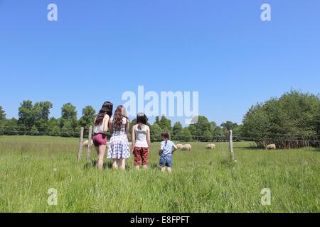 Rear view of four girls standing by fence looking at sheep Stock Photo