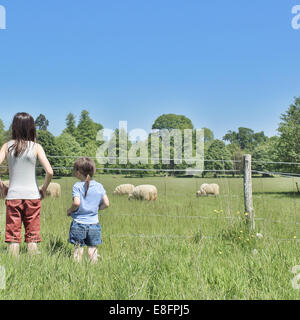 Two girls looking at sheep in a field Stock Photo