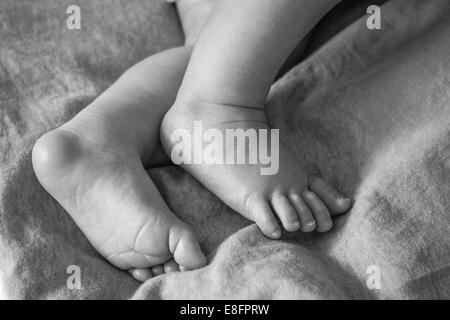 Close-up of newborn baby boy's feet Stock Photo