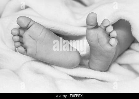 Close-up of newborn baby boy's feet Stock Photo