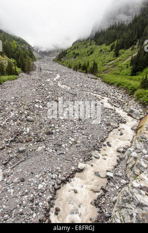 USA, Washington State, Mount Rainier National Park valley, Nisqually River view Stock Photo