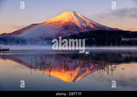 Japan, Mt.Fuji reflecting in Yamanaka lake Stock Photo