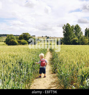 Boy walking along footpath in wheat field Stock Photo