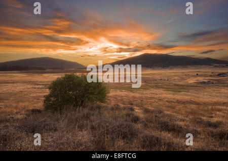 USA, California, Cuyamaca Rancho State Park at sunset Stock Photo