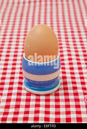 Close-up of a boiled egg in an egg cup on a  checked tablecloth Stock Photo