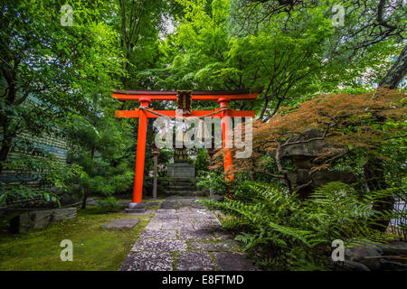 Japan, Chita, Okazaki, Torii gate, small shinto shrine in woods area Stock Photo