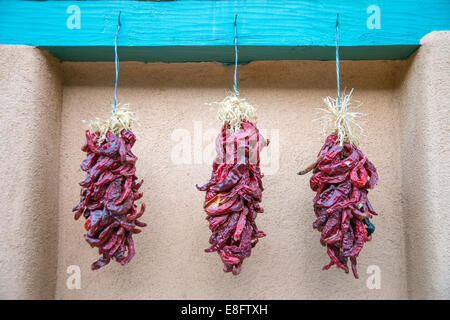 View of Dried Chilies Stock Photo