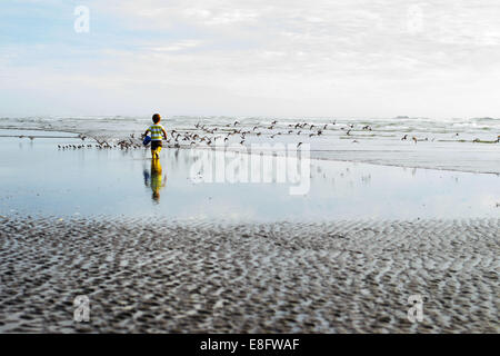 Boy playing in the shallows on the beach, USA Stock Photo