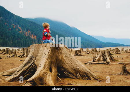 Boy kneeling on tree stump, USA Stock Photo