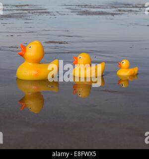 Three rubber ducks on beach Stock Photo