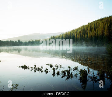 USA, Colorado, Larimer County, Rocky Mountain National Park, Bear Lake at sunrise Stock Photo
