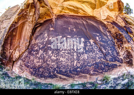 Petroglyphs, Newspaper rock State Historic Monument, Utah, USA Stock Photo