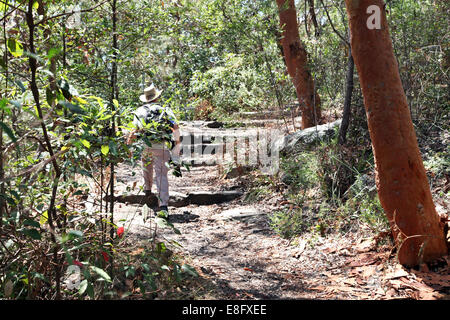 Australia, Nuovo Galles del Sud, Sydney, Man walking in forest Stock Photo