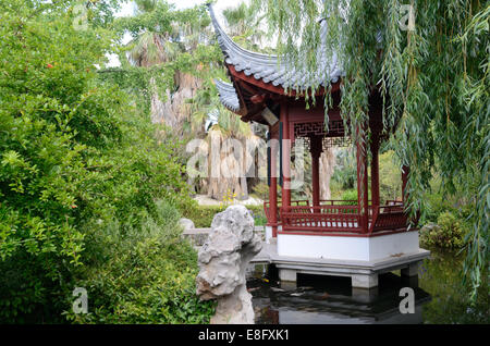 Chinese Kiosk or Pavilion & Weeping Willow over Lake in the Chinese Garden Borely Park Marseille Provence France Stock Photo