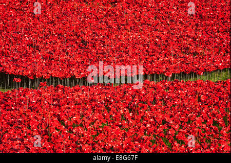 The Tower of London remembers First World War WW1 WWI - Blood Swept Lands & Seas of Red artist Paul Cummins designer Tom Piper Stock Photo