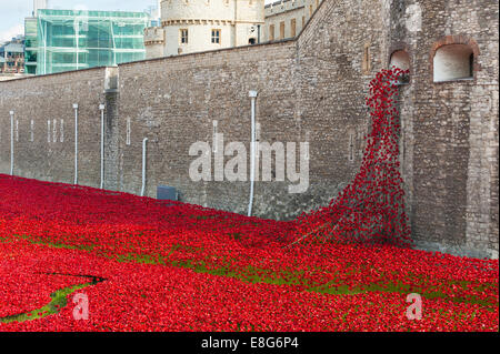 The Tower of London remembers First World War WW1 WWI - Blood Swept Lands & Seas of Red artist Paul Cummins designer Tom Piper Stock Photo